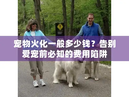宠物火化一般多少钱？告别爱宠前必知的费用陷阱