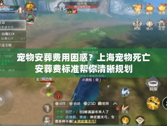 宠物安葬费用困惑？上海宠物死亡安葬费标准帮你清晰规划
