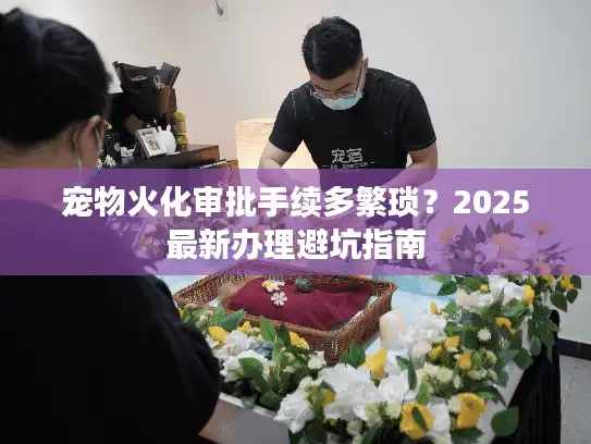 宠物火化审批手续多繁琐？2025最新办理避坑指南
