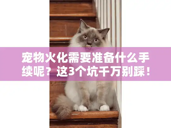 宠物火化需要准备什么手续呢？这3个坑千万别踩！