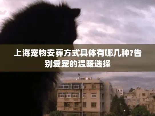 上海宠物安葬方式具体有哪几种?告别爱宠的温暖选择