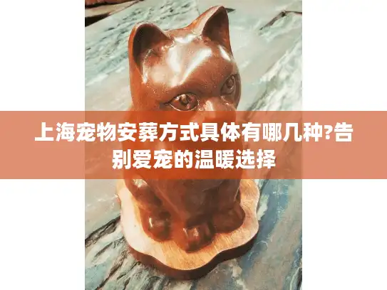 上海宠物安葬方式具体有哪几种?告别爱宠的温暖选择