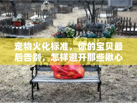宠物火化标准，你的宝贝最后告别，怎样避开那些揪心陷阱？
