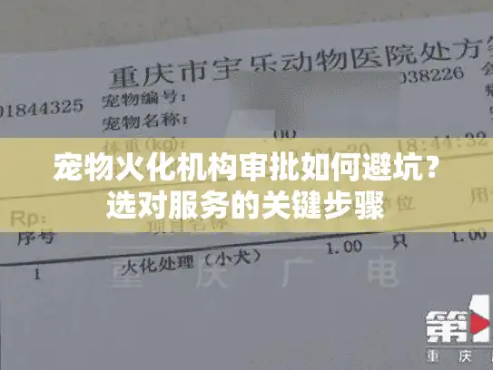 宠物火化机构审批如何避坑？选对服务的关键步骤