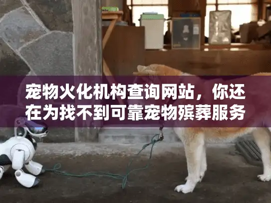 宠物火化机构查询网站，你还在为找不到可靠宠物殡葬服务焦虑吗？
