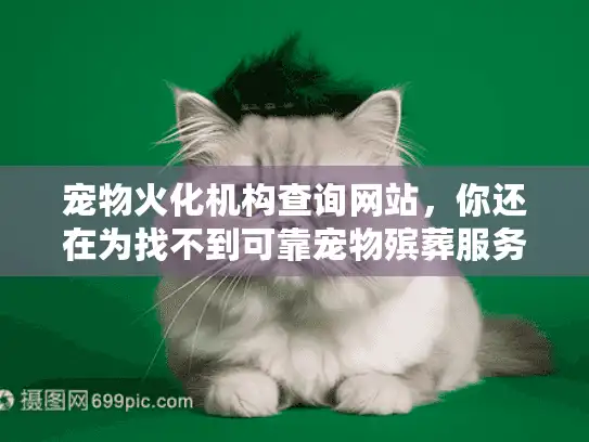 宠物火化机构查询网站，你还在为找不到可靠宠物殡葬服务焦虑吗？