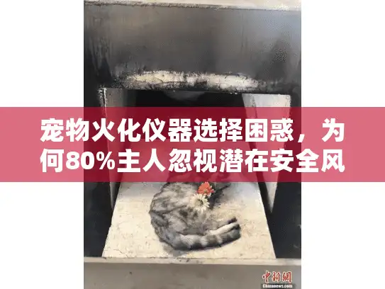 宠物火化仪器选择困惑，为何80%主人忽视潜在安全风险？