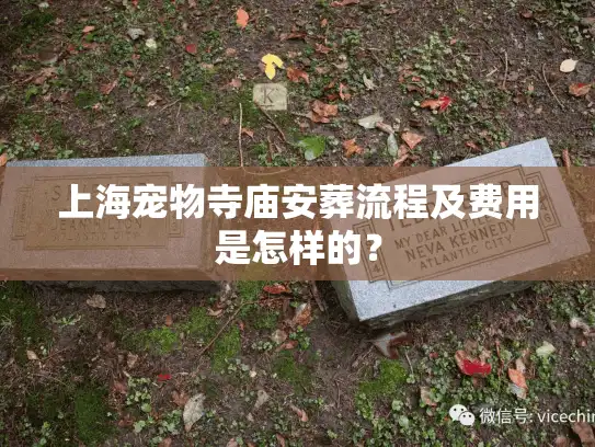 上海宠物寺庙安葬流程及费用是怎样的？
