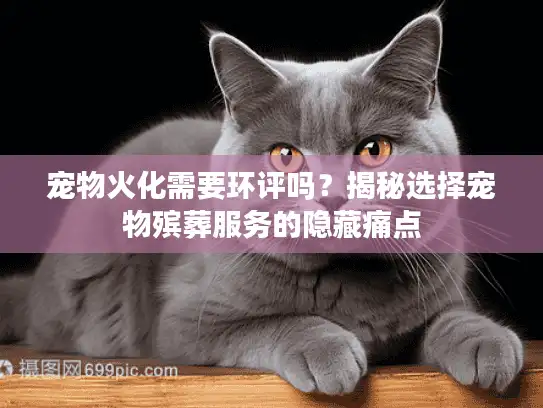 宠物火化需要环评吗？揭秘选择宠物殡葬服务的隐藏痛点