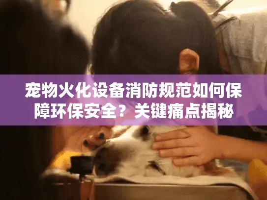 宠物火化设备消防规范如何保障环保安全？关键痛点揭秘