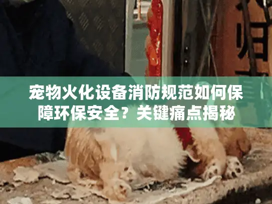 宠物火化设备消防规范如何保障环保安全？关键痛点揭秘