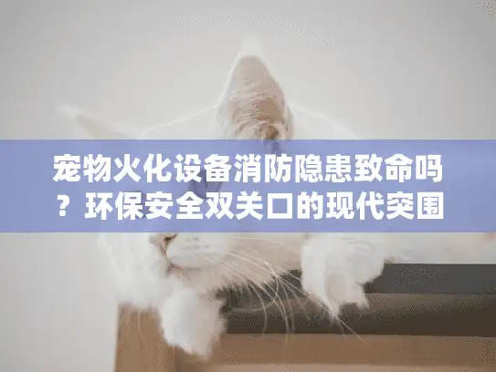 宠物火化设备消防隐患致命吗？环保安全双关口的现代突围