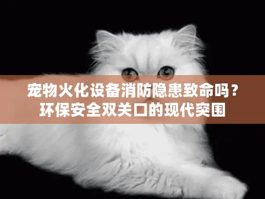 宠物火化设备消防隐患致命吗？环保安全双关口的现代突围