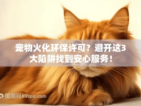 宠物火化环保许可？避开这3大陷阱找到安心服务！
