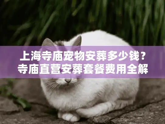 上海寺庙宠物安葬多少钱？寺庙直营安葬套餐费用全解析