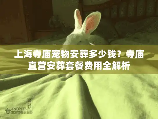上海寺庙宠物安葬多少钱？寺庙直营安葬套餐费用全解析