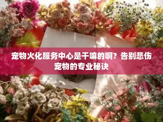 宠物火化服务中心是干嘛的啊？告别悲伤宠物的专业秘诀