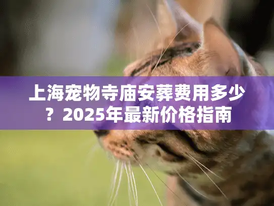 上海宠物寺庙安葬费用多少？2025年最新价格指南