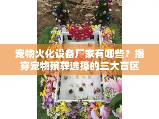 宠物火化设备厂家有哪些？揭穿宠物殡葬选择的三大盲区