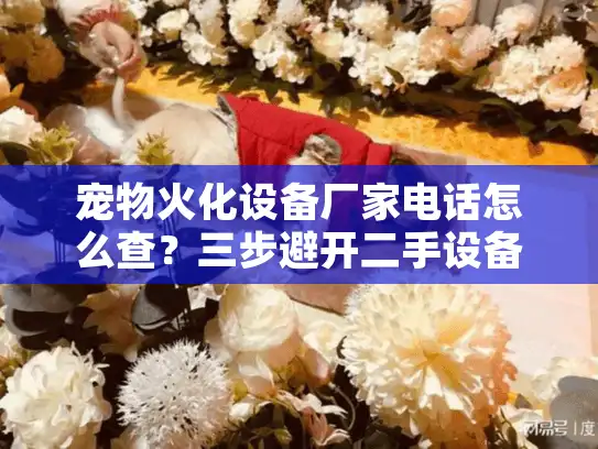 宠物火化设备厂家电话怎么查？三步避开二手设备坑！