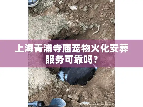上海青浦寺庙宠物火化安葬服务可靠吗？