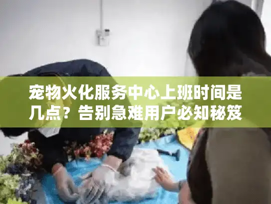 宠物火化服务中心上班时间是几点？告别急难用户必知秘笈