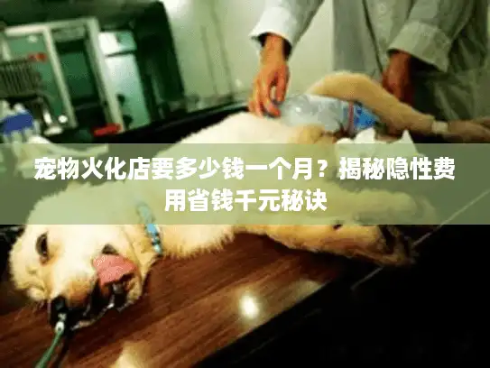 宠物火化店要多少钱一个月？揭秘隐性费用省钱千元秘诀