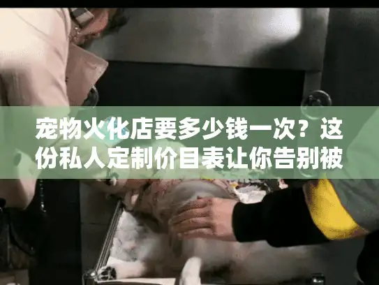 宠物火化店要多少钱一次？这份私人定制价目表让你告别被坑