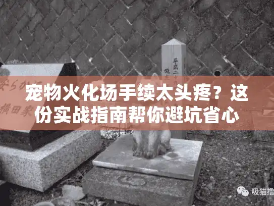 宠物火化场手续太头疼？这份实战指南帮你避坑省心