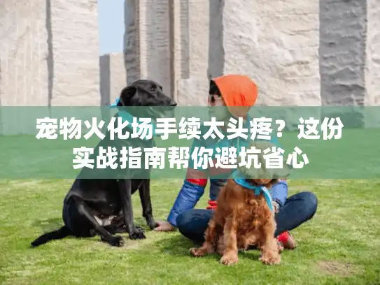 宠物火化场手续太头疼？这份实战指南帮你避坑省心
