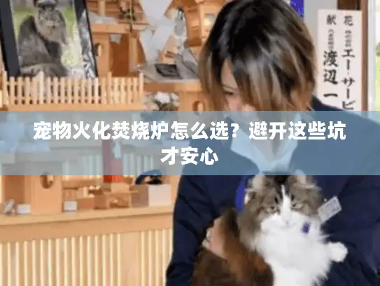 宠物火化焚烧炉怎么选？避开这些坑才安心