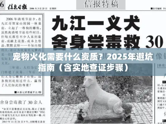 宠物火化需要什么资质？2025年避坑指南（含实地查证步骤）