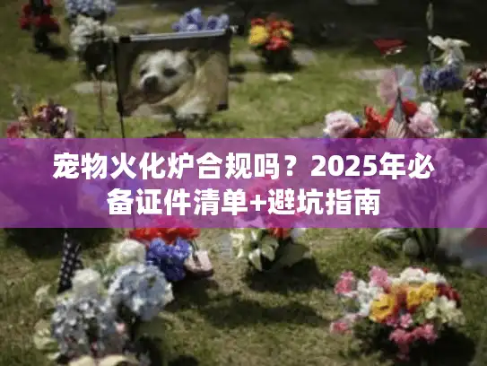 宠物火化炉合规吗？2025年必备证件清单+避坑指南