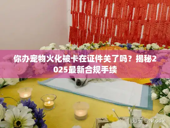 你办宠物火化被卡在证件关了吗？揭秘2025最新合规手续