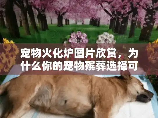 宠物火化炉图片欣赏，为什么你的宠物殡葬选择可能陷入图片骗局陷阱？