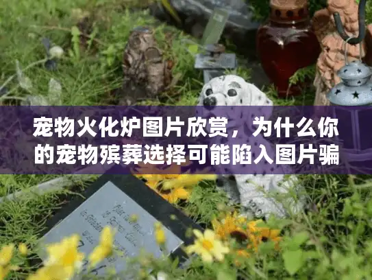 宠物火化炉图片欣赏，为什么你的宠物殡葬选择可能陷入图片骗局陷阱？