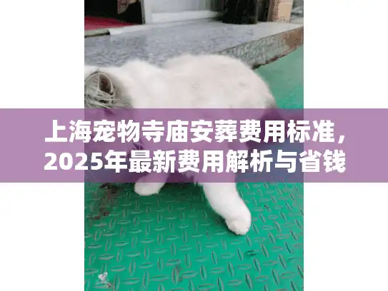 上海宠物寺庙安葬费用标准，2025年最新费用解析与省钱指南