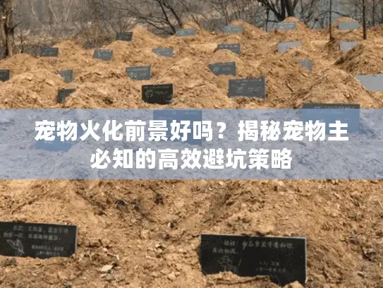 宠物火化前景好吗？揭秘宠物主必知的高效避坑策略