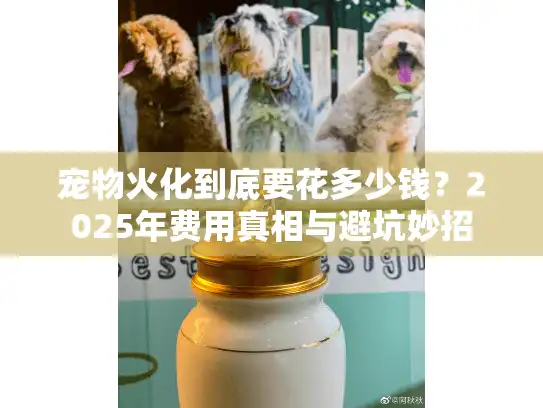 宠物火化到底要花多少钱？2025年费用真相与避坑妙招
