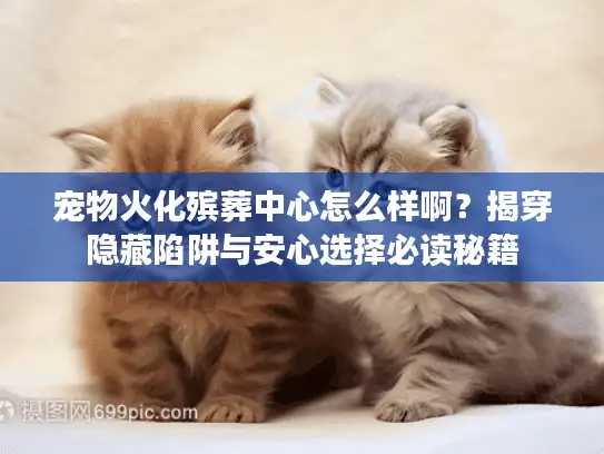 宠物火化殡葬中心怎么样啊？揭穿隐藏陷阱与安心选择必读秘籍