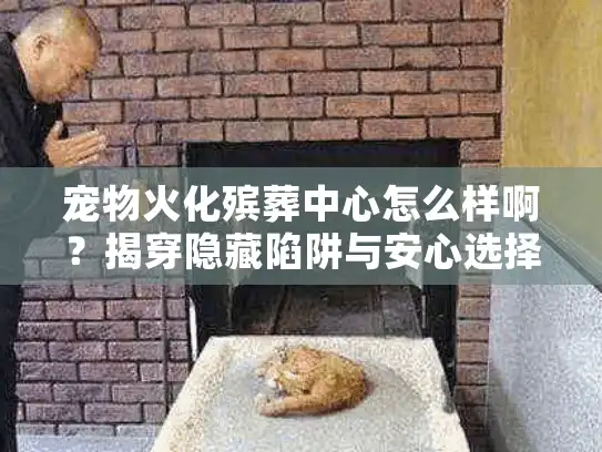 宠物火化殡葬中心怎么样啊？揭穿隐藏陷阱与安心选择必读秘籍