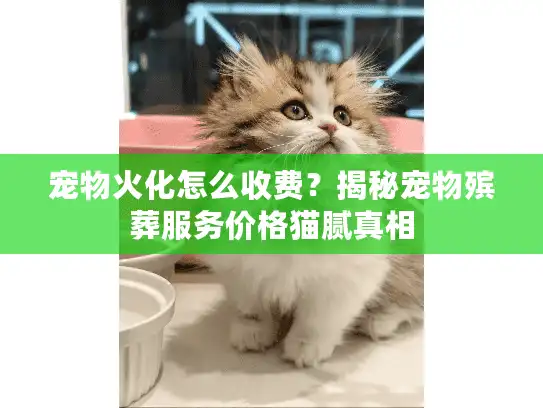 宠物火化怎么收费？揭秘宠物殡葬服务价格猫腻真相