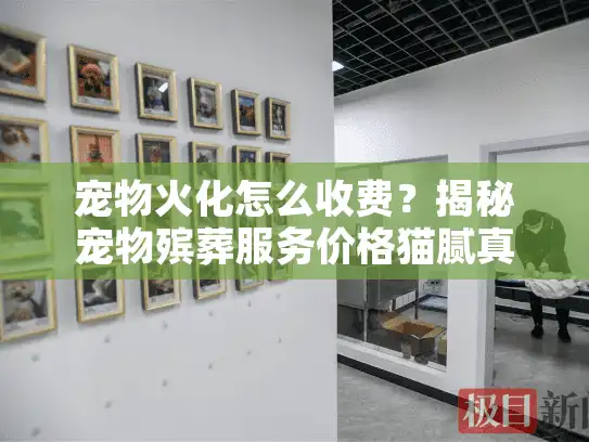 宠物火化怎么收费？揭秘宠物殡葬服务价格猫腻真相