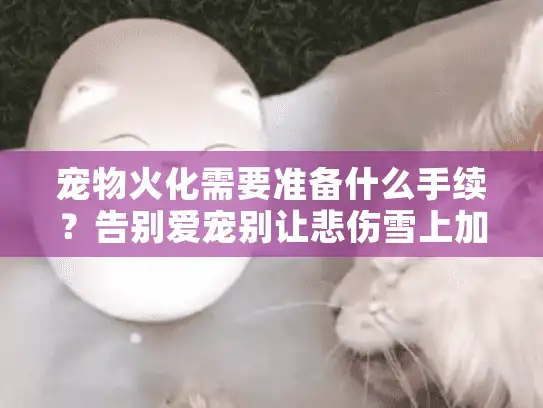 宠物火化需要准备什么手续？告别爱宠别让悲伤雪上加霜！