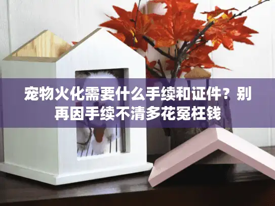 宠物火化需要什么手续和证件？别再因手续不清多花冤枉钱