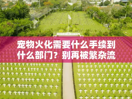 宠物火化需要什么手续到什么部门？别再被繁杂流程折腾了！