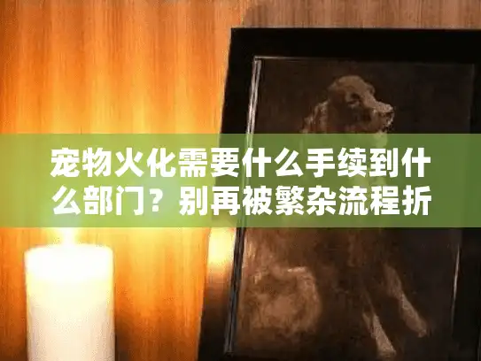 宠物火化需要什么手续到什么部门？别再被繁杂流程折腾了！
