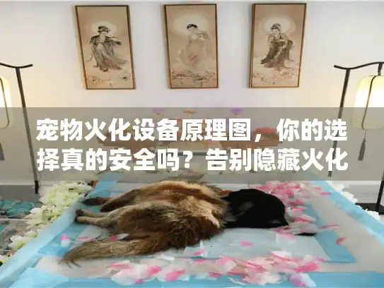 宠物火化设备原理图，你的选择真的安全吗？告别隐藏火化风险