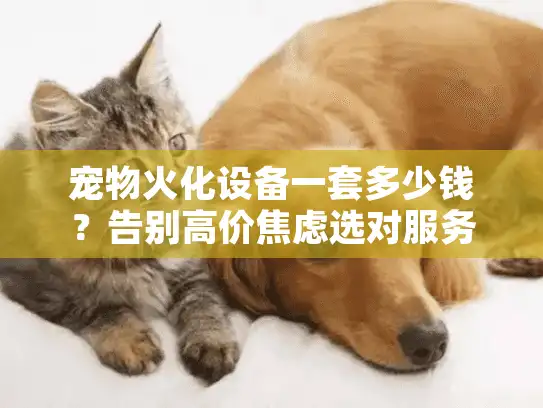 宠物火化设备一套多少钱？告别高价焦虑选对服务