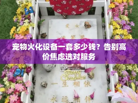 宠物火化设备一套多少钱？告别高价焦虑选对服务